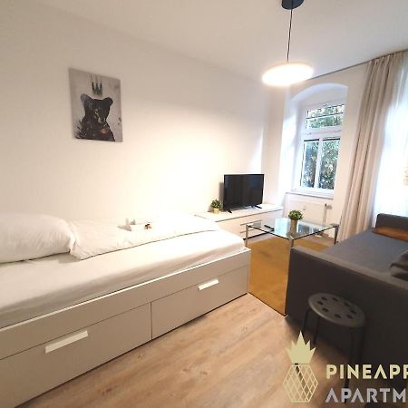 Ruhiges Hinterhof Apartment Im Herzen Der Neustadt ドレスデン エクステリア 写真